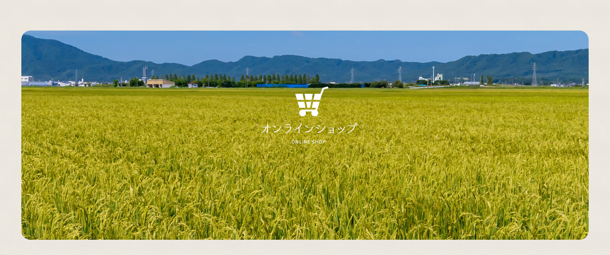 オンラインショップ